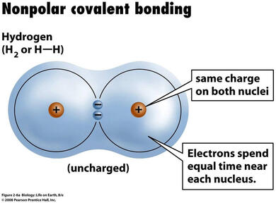 Figure 2.3 Non Polar Covalent Bond