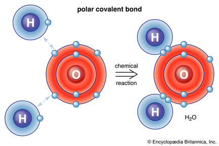 Figure 2.2 Polar Covalent Bond